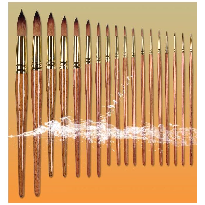  Skip to the beginning of the images gallery AddThis Sharing Buttons Share to Facebook Share to TwitterShare to PinterestShare to WhatsAppShare to More Proarte Series 007 Prolene Plus Round Brushes