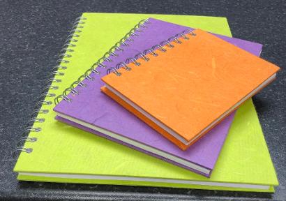 Pink Pig 'Posh Pig' Sketch Books